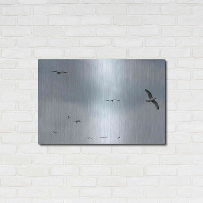 Luxe Metal Art 'Sky Patrol' by Luxe Portfolio, Metal Wall Art,36x24