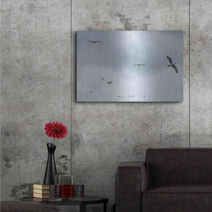 Luxe Metal Art 'Sky Patrol' by Luxe Portfolio, Metal Wall Art,36x24