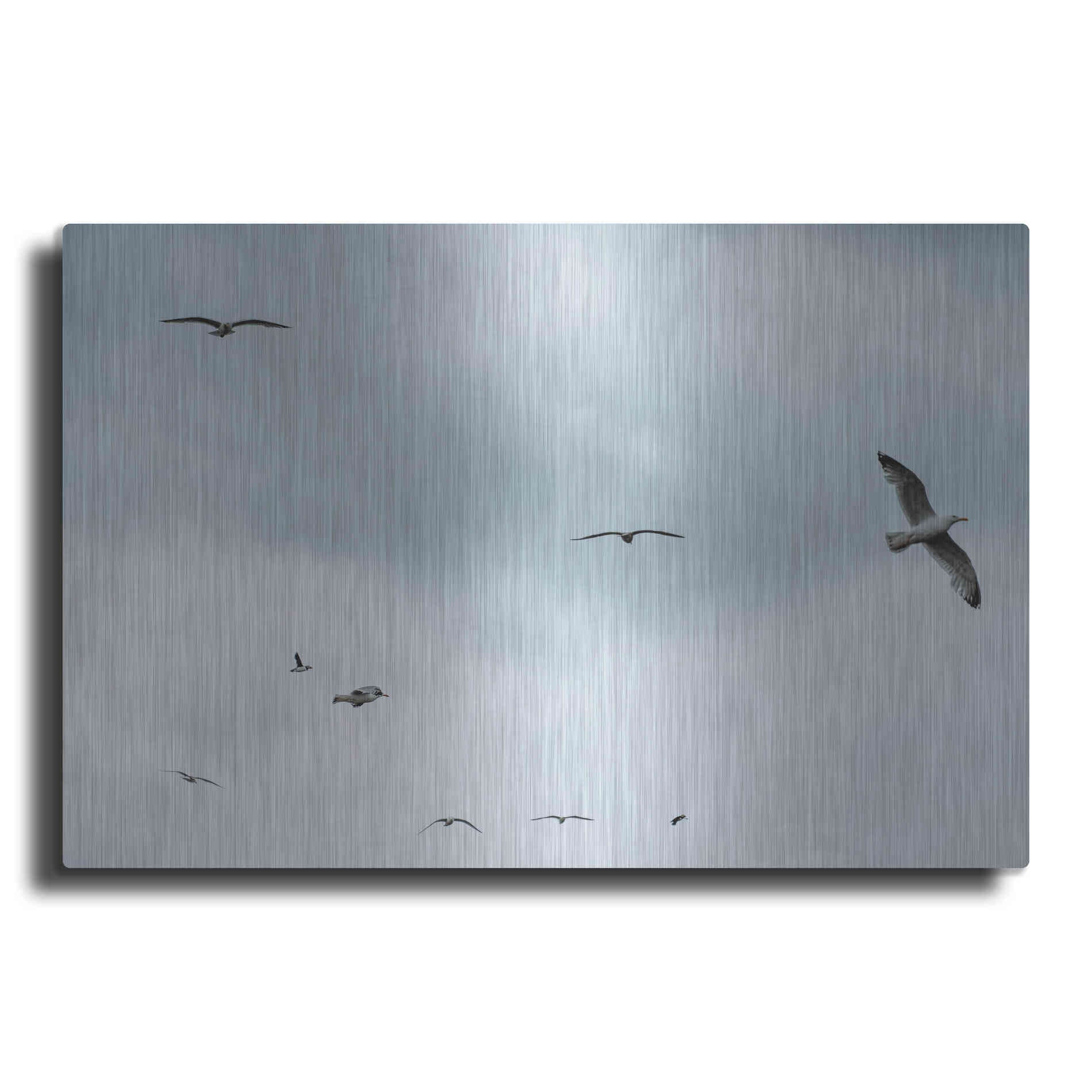 Luxe Metal Art 'Sky Patrol' by Luxe Portfolio, Metal Wall Art