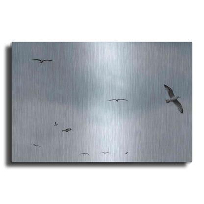 Luxe Metal Art 'Sky Patrol' by Luxe Portfolio, Metal Wall Art