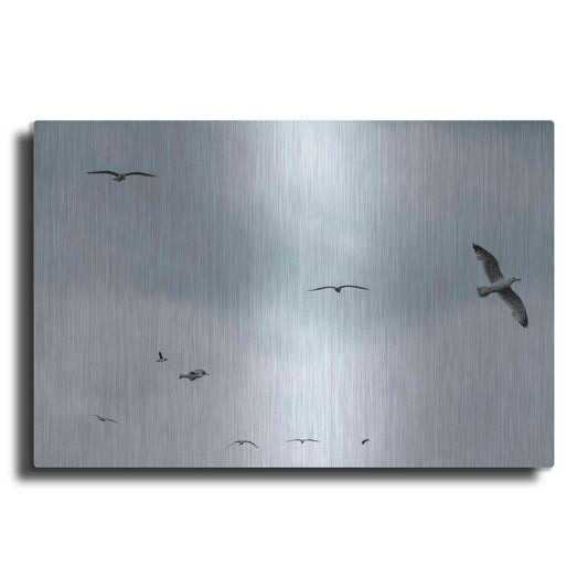 Luxe Metal Art 'Sky Patrol' by Luxe Portfolio, Metal Wall Art