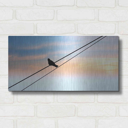 Luxe Metal Art 'Sunset Watching' by Luxe Portfolio, Metal Wall Art,24x12