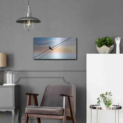 Luxe Metal Art 'Sunset Watching' by Luxe Portfolio, Metal Wall Art,24x12