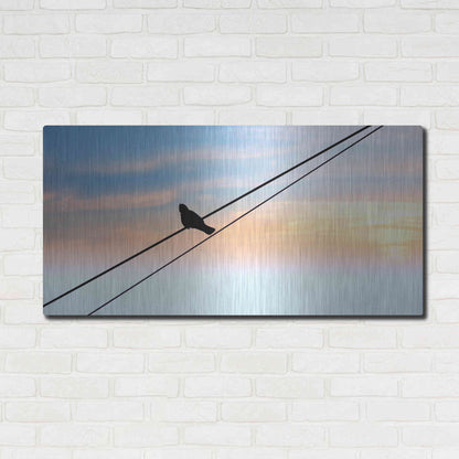 Luxe Metal Art 'Sunset Watching' by Luxe Portfolio, Metal Wall Art,48x24