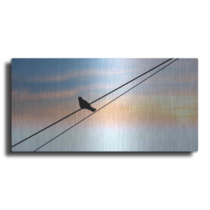 Luxe Metal Art 'Sunset Watching' by Luxe Portfolio, Metal Wall Art