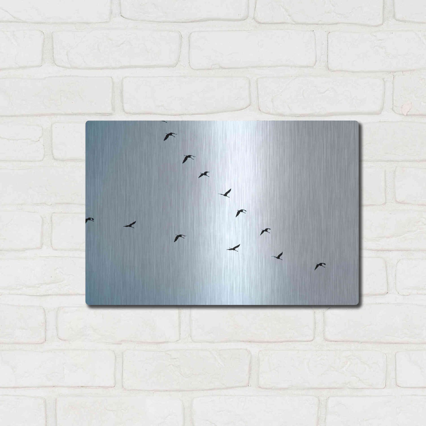 Luxe Metal Art 'V Formation' by Luxe Portfolio, Metal Wall Art,16x12