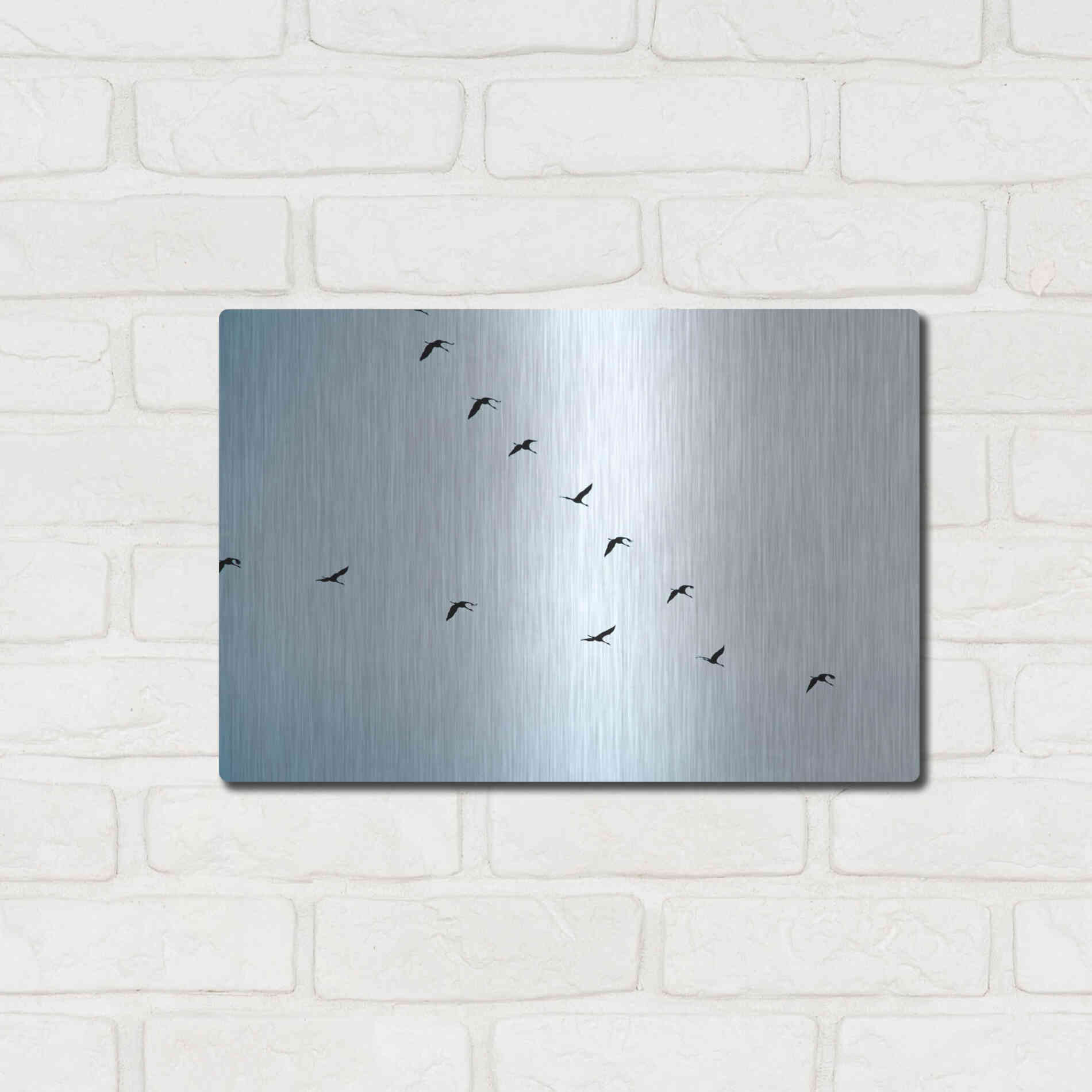 Luxe Metal Art 'V Formation' by Luxe Portfolio, Metal Wall Art,16x12