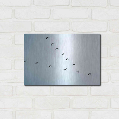 Luxe Metal Art 'V Formation' by Luxe Portfolio, Metal Wall Art,16x12