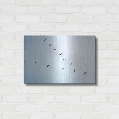 Luxe Metal Art 'V Formation' by Luxe Portfolio, Metal Wall Art,24x16