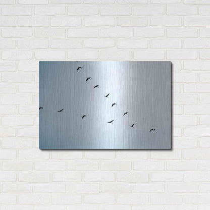 Luxe Metal Art 'V Formation' by Luxe Portfolio, Metal Wall Art,36x24