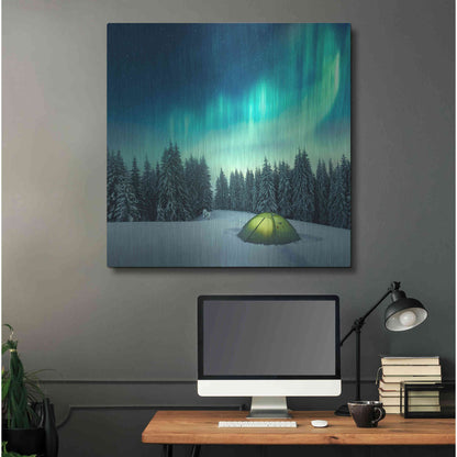 Luxe Metal Art 'Northern Lights In Winter Forest 1' by Luxe Portfolio, Metal Wall Art,36x36