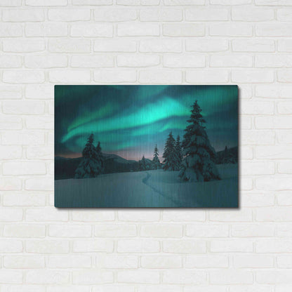 Luxe Metal Art 'Northern Lights In Winter Forest 4' by Luxe Portfolio, Metal Wall Art,36x24