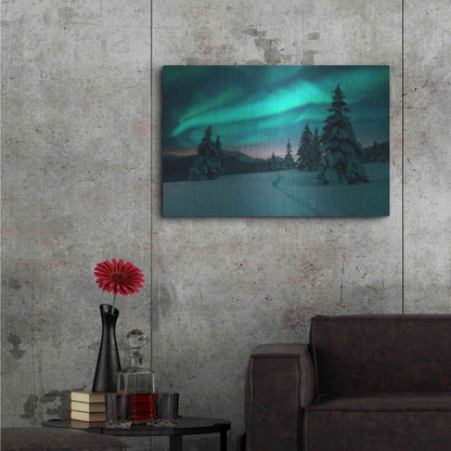 Luxe Metal Art 'Northern Lights In Winter Forest 4' by Luxe Portfolio, Metal Wall Art,36x24