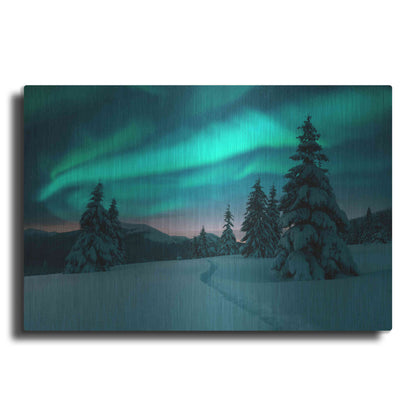 Luxe Metal Art 'Northern Lights In Winter Forest 4' by Luxe Portfolio, Metal Wall Art
