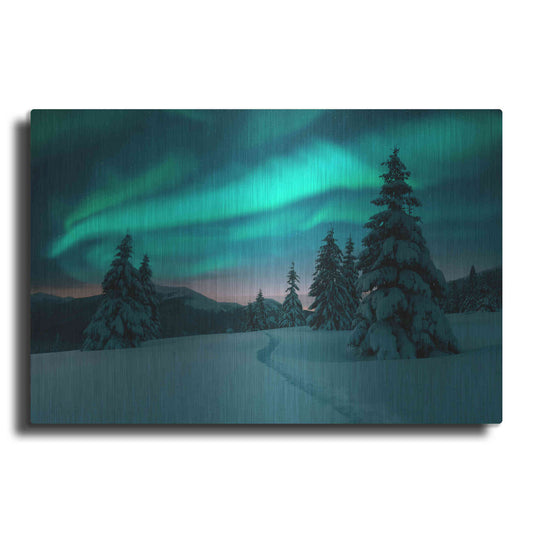 Luxe Metal Art 'Northern Lights In Winter Forest 4' by Luxe Portfolio, Metal Wall Art