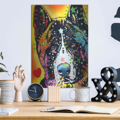 Luxe Metal Art 'Akita 1' by Dean Russo, Metal Wall Art,12x16