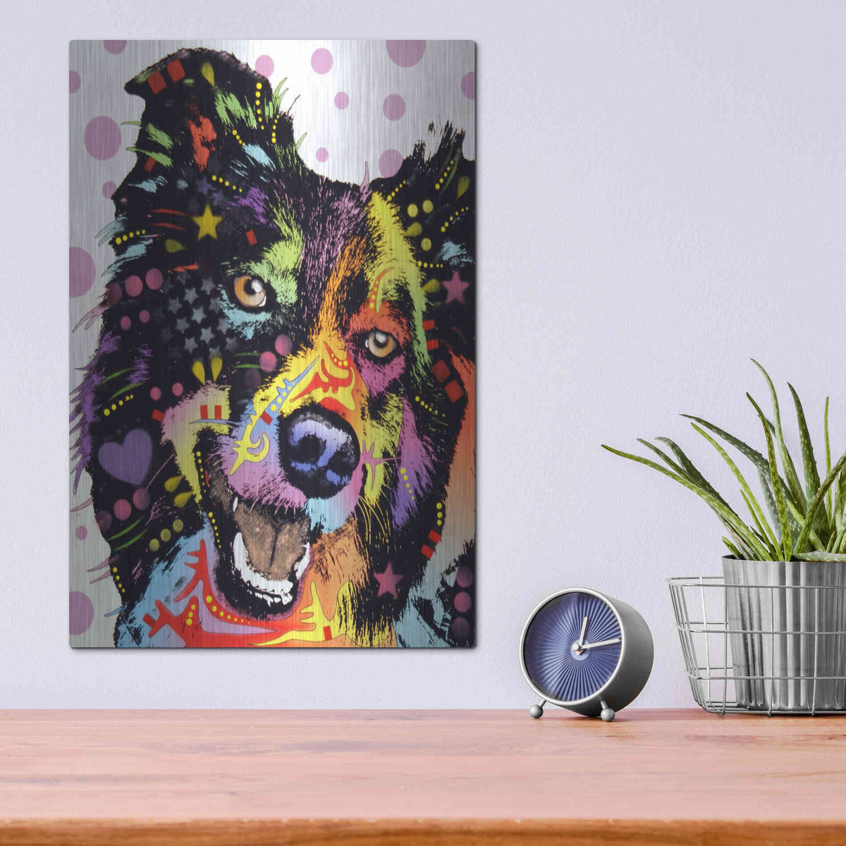 Luxe Metal Art 'Border Collie 1' by Dean Russo, Metal Wall Art,12x16