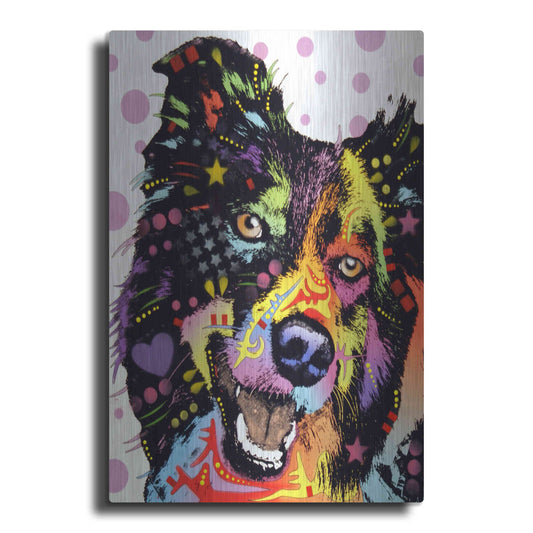 Luxe Metal Art 'Border Collie 1' by Dean Russo, Metal Wall Art