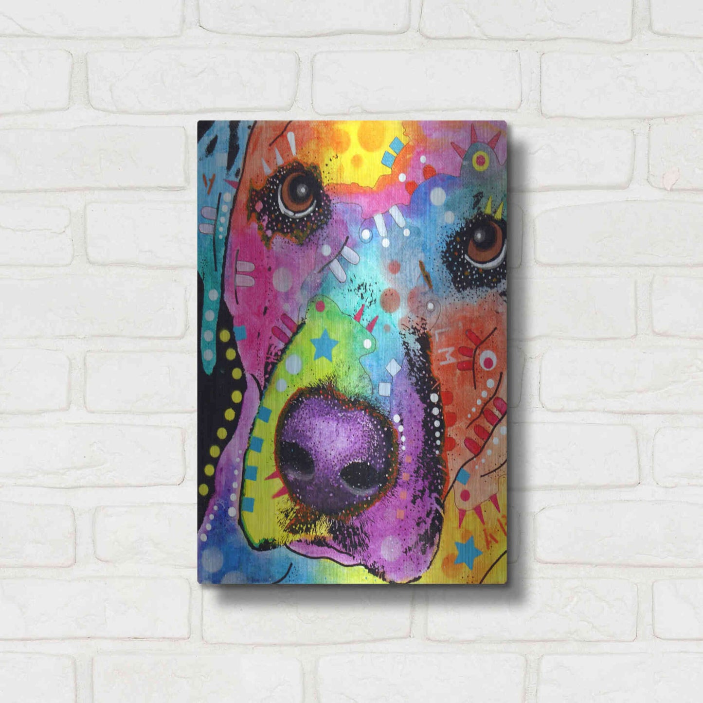 Luxe Metal Art 'Closeup Labrador' by Dean Russo, Metal Wall Art,12x16