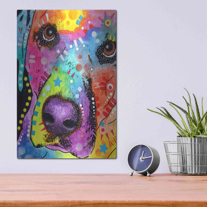 Luxe Metal Art 'Closeup Labrador' by Dean Russo, Metal Wall Art,12x16