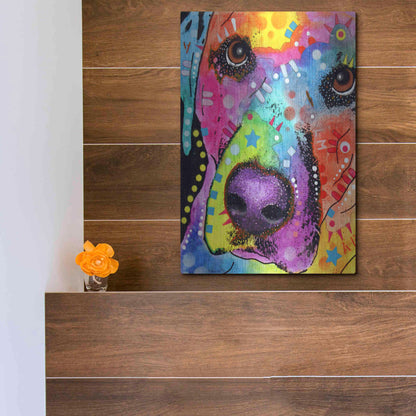 Luxe Metal Art 'Closeup Labrador' by Dean Russo, Metal Wall Art,12x16