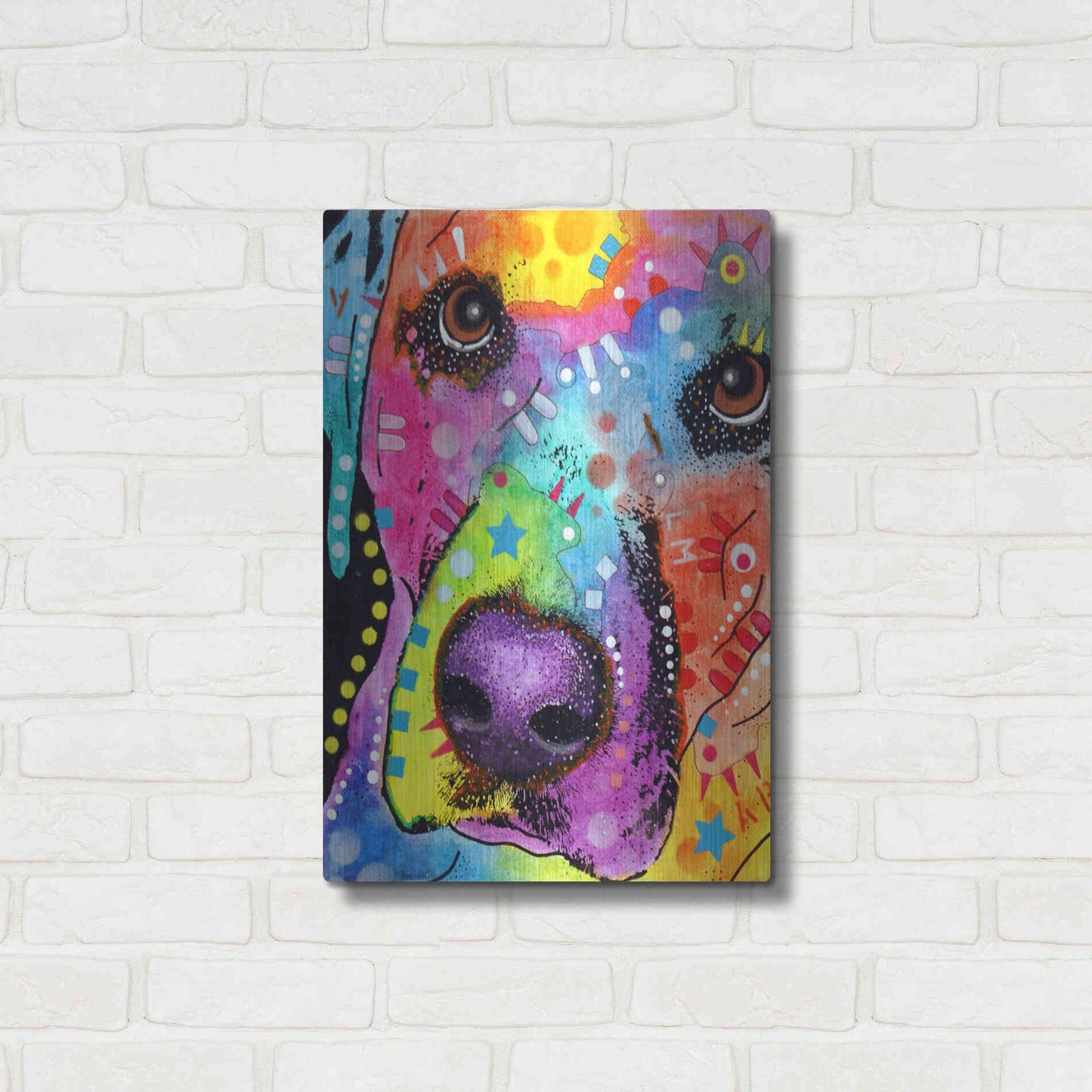 Luxe Metal Art 'Closeup Labrador' by Dean Russo, Metal Wall Art,16x24