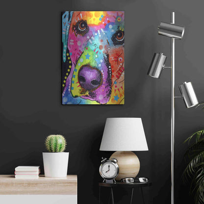 Luxe Metal Art 'Closeup Labrador' by Dean Russo, Metal Wall Art,16x24