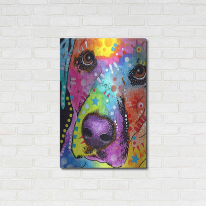Luxe Metal Art 'Closeup Labrador' by Dean Russo, Metal Wall Art,24x36