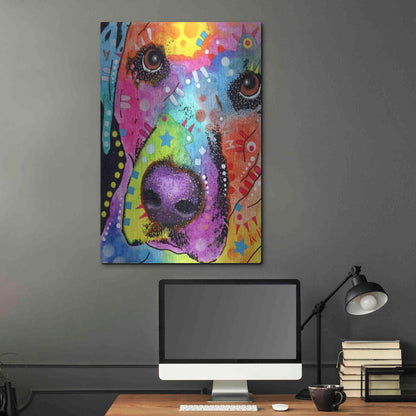 Luxe Metal Art 'Closeup Labrador' by Dean Russo, Metal Wall Art,24x36