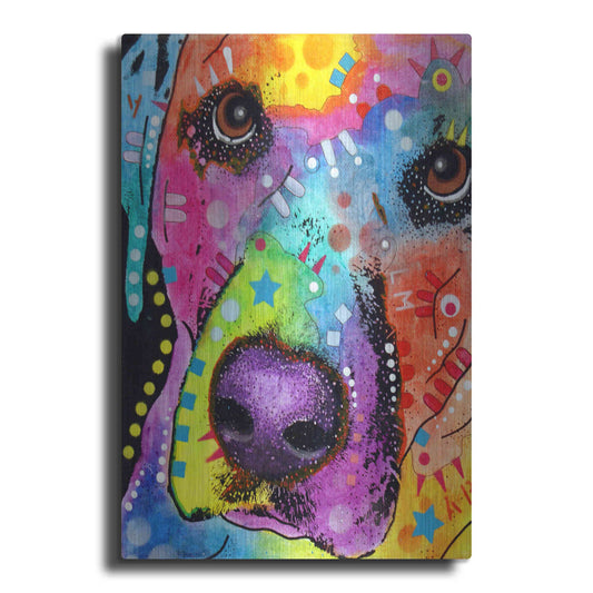 Luxe Metal Art 'Closeup Labrador' by Dean Russo, Metal Wall Art