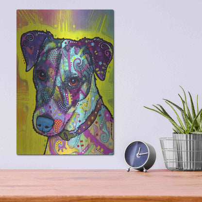 Luxe Metal Art 'Jack Russell' by Dean Russo, Metal Wall Art,12x16
