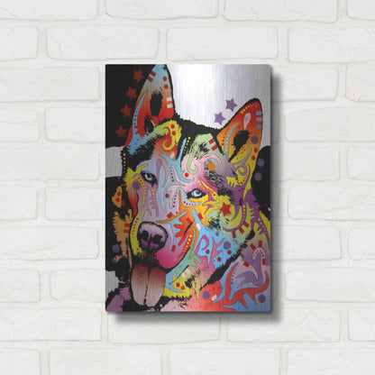 Luxe Metal Art 'Siberian Husky 1' by Dean Russo, Metal Wall Art,12x16