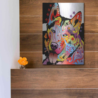 Luxe Metal Art 'Siberian Husky 1' by Dean Russo, Metal Wall Art,12x16
