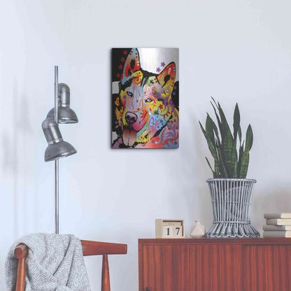 Luxe Metal Art 'Siberian Husky 1' by Dean Russo, Metal Wall Art,16x24