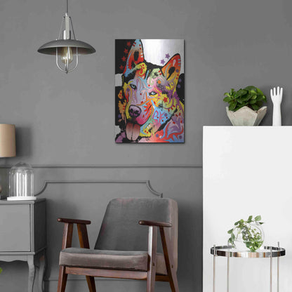 Luxe Metal Art 'Siberian Husky 1' by Dean Russo, Metal Wall Art,16x24