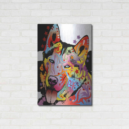Luxe Metal Art 'Siberian Husky 1' by Dean Russo, Metal Wall Art,24x36