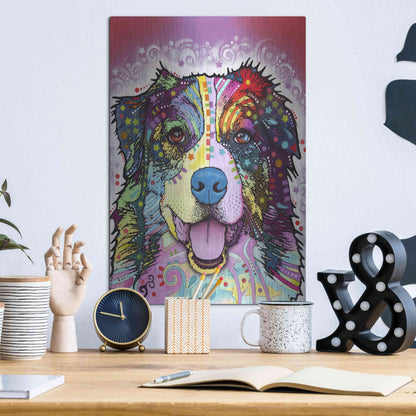 Luxe Metal Art 'Australian Shepherd' by Dean Russo, Metal Wall Art,12x16