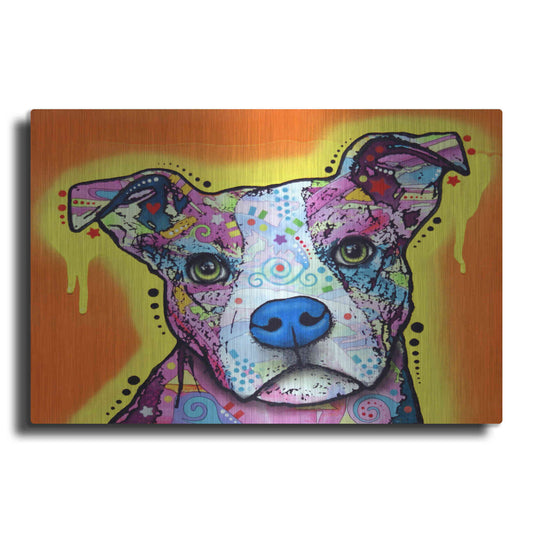 Luxe Metal Art 'A Serious Pit' by Dean Russo, Metal Wall Art