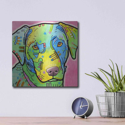 Luxe Metal Art 'Labrador' by Dean Russo, Metal Wall Art,12x12