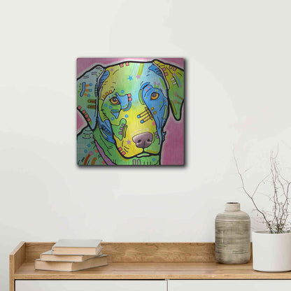 Luxe Metal Art 'Labrador' by Dean Russo, Metal Wall Art,12x12