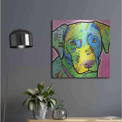 Luxe Metal Art 'Labrador' by Dean Russo, Metal Wall Art,24x24