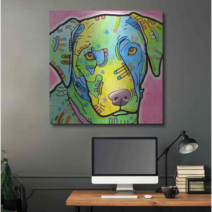 Luxe Metal Art 'Labrador' by Dean Russo, Metal Wall Art,36x36