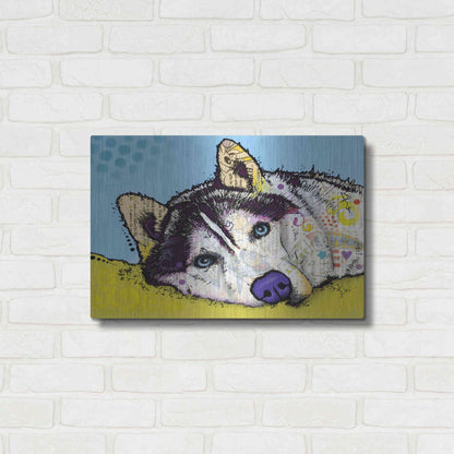 Luxe Metal Art 'Siberian Husky 2' by Dean Russo, Metal Wall Art,24x16