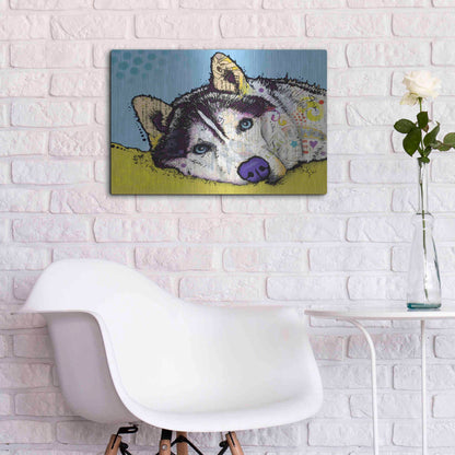 Luxe Metal Art 'Siberian Husky 2' by Dean Russo, Metal Wall Art,24x16