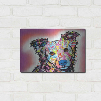 Luxe Metal Art 'Collied' by Dean Russo, Metal Wall Art,16x12