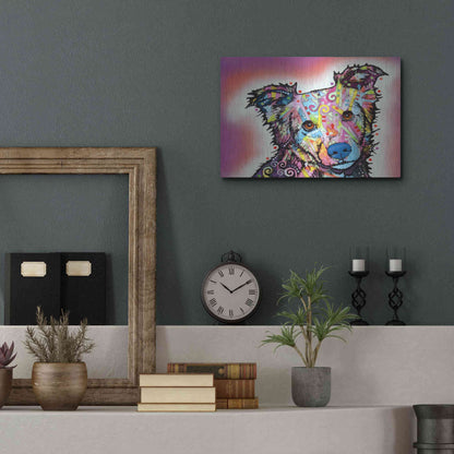 Luxe Metal Art 'Collied' by Dean Russo, Metal Wall Art,16x12