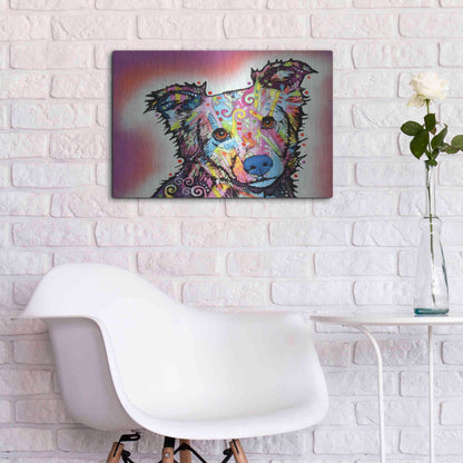 Luxe Metal Art 'Collied' by Dean Russo, Metal Wall Art,24x16