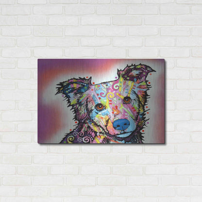 Luxe Metal Art 'Collied' by Dean Russo, Metal Wall Art,36x24