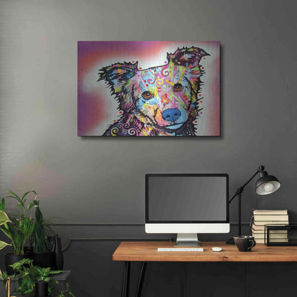 Luxe Metal Art 'Collied' by Dean Russo, Metal Wall Art,36x24