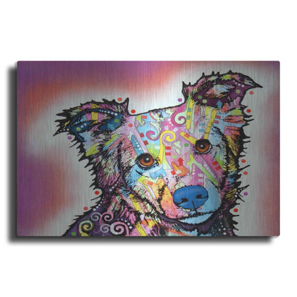 Luxe Metal Art 'Collied' by Dean Russo, Metal Wall Art